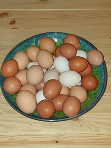 Хуторские яйца.