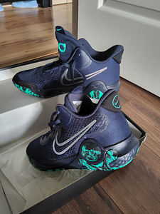 Баскетбольные кроссовки Nike KD Trey 5 IX