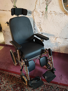 Эква комфорт в инвалидной коляске