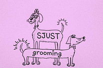 Уход за шерстью домашних животных в салоне «SJUST grooming».