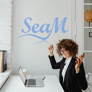 SeaM - Ваш персональный бухгалтер