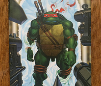 Koomiks Teenage Mutant Ninja Turtles (TMNT koomiksid)