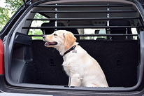 Dobar® 62200 Walky Barrier защита для собак багажные ворота