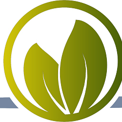 ES