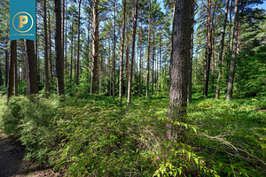 Lepiku tee 28b, Pirita, Tallinn, Harjumaa (5 foto / 13)
