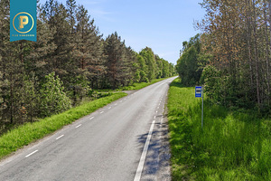 Harju maakond, Lääne-Harju vald, Madise küla, Kotka (5 foto / 5)
