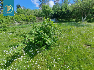 Kraavihalli tn 9, Aespa, Kohila vald, Raplamaa (18 foto / 19)