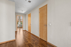 Vana-Lõuna tn 39, Kesklinna, Tallinn, Harjumaa (13 foto / 23)