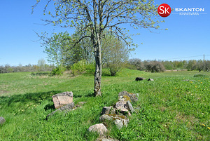 Pihlaka, Koluvere, Lääne-Nigula vald, Läänemaa (8 foto / 14)
