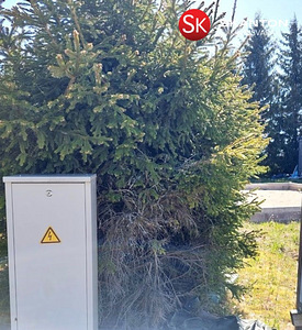 Pihlaka, Koluvere, Lääne-Nigula vald, Läänemaa (18 foto / 18)
