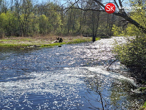 Uustoa, Langa, Lääne-Harju vald, Harjumaa (4 foto / 22)