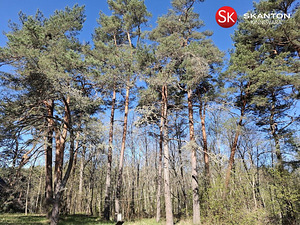 Uustoa, Langa, Lääne-Harju vald, Harjumaa (15 foto / 22)