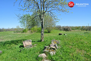Pihlaka, Koluvere, Lääne-Nigula vald, Läänemaa (7 foto / 15)