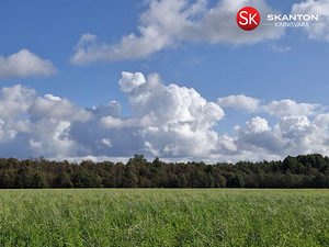 Jüri, Jõõdre, Haapsalu linn, Läänemaa (2 foto / 11)
