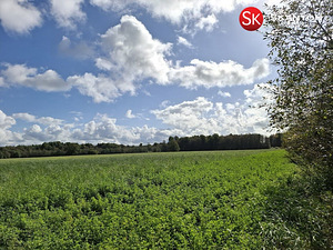 Jüri, Jõõdre, Haapsalu linn, Läänemaa (4 foto / 11)