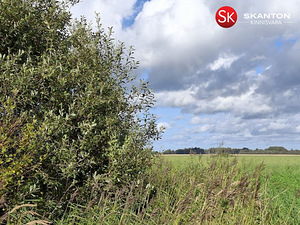 Jüri, Jõõdre, Haapsalu linn, Läänemaa (5 foto / 11)