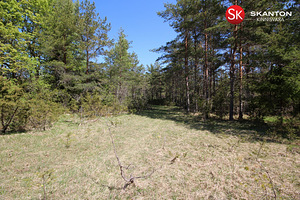 Kruusa, Ridala, Saaremaa vald, Saaremaa (5 foto / 19)