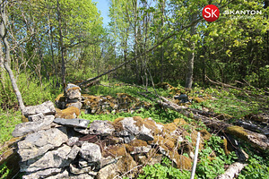 Kruusa, Ridala, Saaremaa vald, Saaremaa (11 foto / 19)