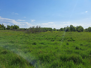 Merilahe, Suurupi, Harku vald, Harjumaa (18 foto / 19)