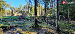 Kaasiku tee 6, Kloogaranna, Lääne-Harju vald, Harjumaa (2 foto / 16)