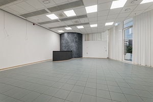Roosikrantsi tn 11, Kesklinna, Tallinn, Harjumaa (2 foto / 11)