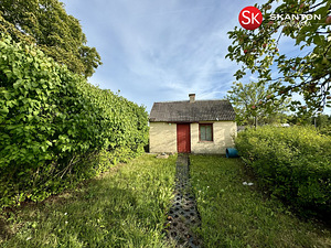 Tammenuka, Kuivastu, Muhu vald, Saaremaa (26 foto / 42)