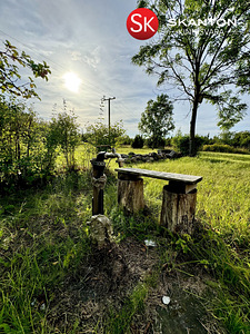 Tammenuka, Kuivastu, Muhu vald, Saaremaa (31 foto / 42)