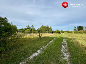 Tammenuka, Kuivastu, Muhu vald, Saaremaa (38 foto / 42)