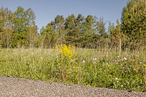 Sepametsa tee 4, Jõgisoo, Saue vald, Harjumaa (13 foto / 37)
