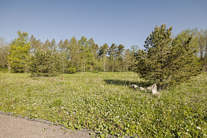 Sepametsa tee 4, Jõgisoo, Saue vald, Harjumaa (14 foto / 37)
