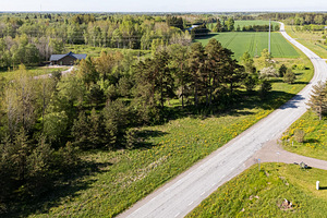 Sepametsa tee 6, Jõgisoo, Saue vald, Harjumaa (25 foto / 27)