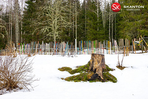 Apuparra, Pillapalu, Anija vald, Harjumaa (46 foto / 55)