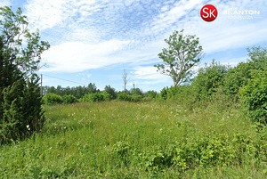 Nõmmeliiva, Rohuküla, Haapsalu linn, Läänemaa (11 foto / 12)
