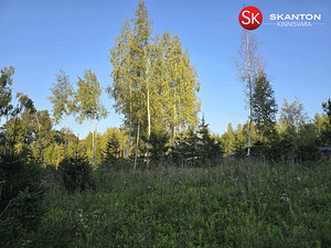 Tammeoksa, Veskimäe, Kastre vald, Tartumaa (3 foto / 22)