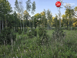 Tammeoksa, Veskimäe, Kastre vald, Tartumaa (8 foto / 22)