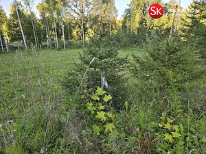 Tammeoksa, Veskimäe, Kastre vald, Tartumaa (9 foto / 22)