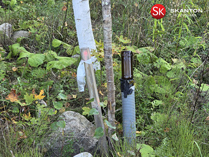 Tammeoksa, Veskimäe, Kastre vald, Tartumaa (12 foto / 22)