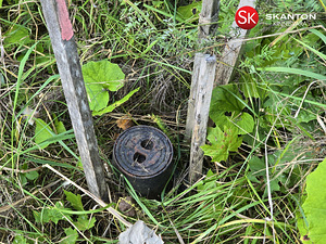 Tammeoksa, Veskimäe, Kastre vald, Tartumaa (13 foto / 22)