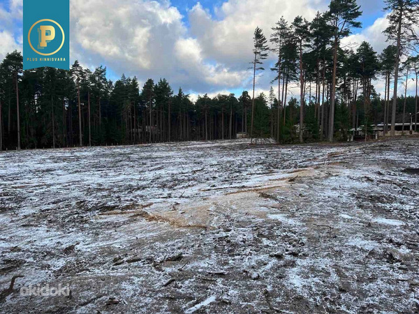 Piiri tee 11, Narva-Jõesuu, Narva-Jõesuu linn, Ida-Virumaa