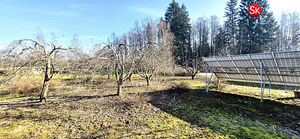 Järva maakond, Türi vald, Kolu küla, Jõekese 14 (12 foto / 17)