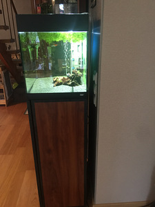 Akvaarium Osse StyleLine 85 liitrit + kapp (7 foto / 8)