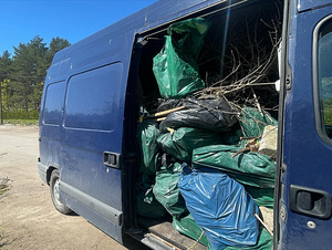 Prügi, mööbli, rämpsu, klaveri väljavedu. Lammutamine ja uti (3 foto / 5)