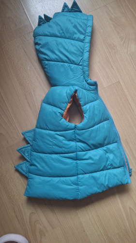 Vest