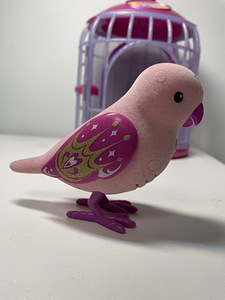 Little live pets interaktiivne lind (6 foto / 6)