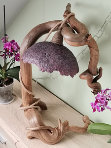 Hubast keskkonda tagav dekoorlamp (5 foto / 10)