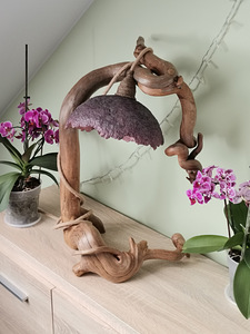 Hubast keskkonda tagav dekoorlamp (6 foto / 10)