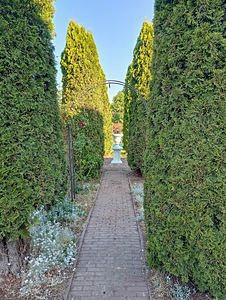 Salu tn 9, Maardu, Harjumaa (6 foto / 7)