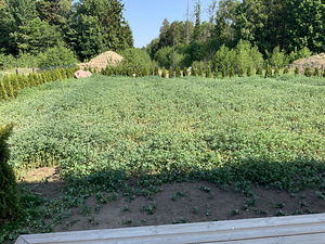 Tööd kohapeal (1 foto / 1)