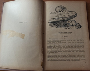 Loodusteadlaste lood. RAAMAT KOOLILASTELE (2 foto / 7)
