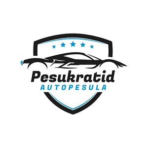 Pakkuda tööd autopesulas (1 foto / 1)